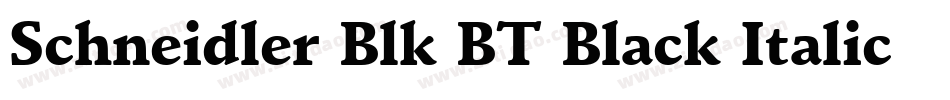 Schneidler Blk BT Black Italic字体转换